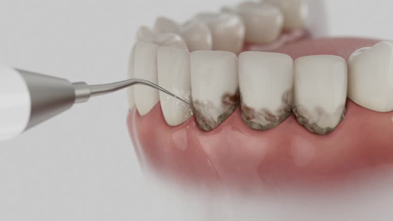 Reliable Dental contractor in Seward, AK by Dentist Open Now